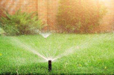Spring Activation of Sprinklers